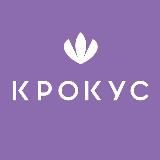 Цветы Оптом Крокус