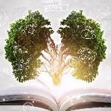 Книги по саморазвитию