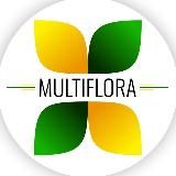 🟢🟡 MULTIFLORA 🟡🟢