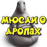 AIRDROP ЖДУН 🐳