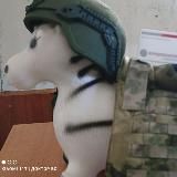 Доктор Бо. Медрота полка