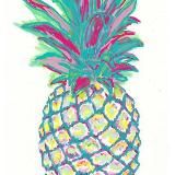 Mr. Ananas