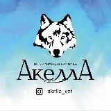 Akella_vet