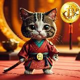 Crypto Samurai | Airdrops &amp; Combo