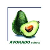 ЧАТ AVOKADO School 🥑