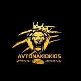 Avtonakidki05