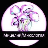 Мицелий/Микология