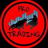 PRO TRADING