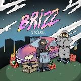 BRIZZ STORE