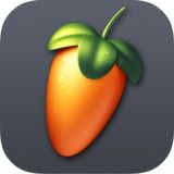 FL STUDIO ITALIA