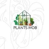 Растения Plants Mob