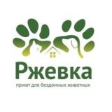 Приют «Ржевка» для бездомных животных Chat