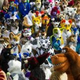 Furry CorkBoard & Group Finder