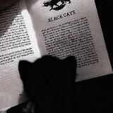 𝓑𝓵𝓪𝓬𝓴 𝓬𝓪𝓽𝓼 🖤