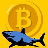 SHARKS.CRYPTO