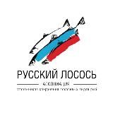 РУССКИЙ ЛОСОСЬ