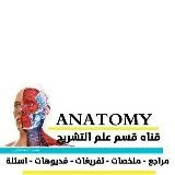 Anatomy