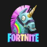 Fortnite | chat ☕️