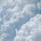 Искусство Цельности, общение участников