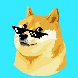 DogeFinal