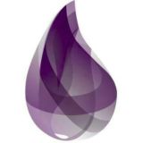 Elixir Delhi Community