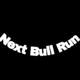 Next Bull run