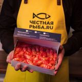 ЧЕСТНАЯ РЫБА новости