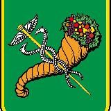 Харківська міська рада