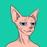 Sphynxes NFT Chat RU