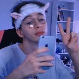 an6oi stream
