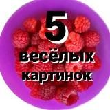 5 ВЕСЁЛЫХ КАРТИНОК