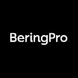 BeringPro | ранее BearingPoint в России