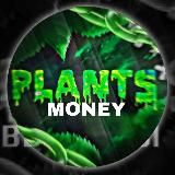 🌿Plants - Money💸