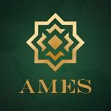 Це AMES: коментарі, оцінки, погляди