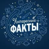 Интересные Факты