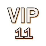VIP 11 класс