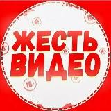 Жесть видео | 18+