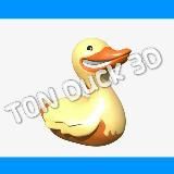 TON Duck