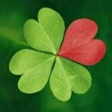 💗CLOVER - handmade🍀творческая мастерская