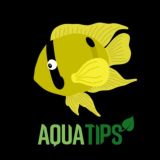 Grupo AquaTips Youtube