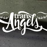 Hard Trans Angels