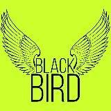 Black Bird Community