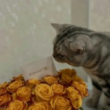 порядочная -э)