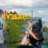 Ев и его друзья 😺😻