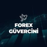 FOREXGÜVERCİNİ