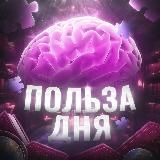 Польза дня 🧠