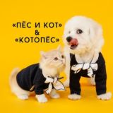 «Пёс и Кот» & «Котопёс»