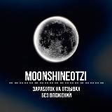 MOONSHINE Заработок на отзывах