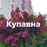 Новости Купавны