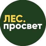 ЛесПросвет | Сибирский кедр